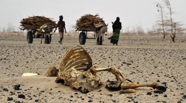 Drought threatens five counties as rainfall expectations fall short