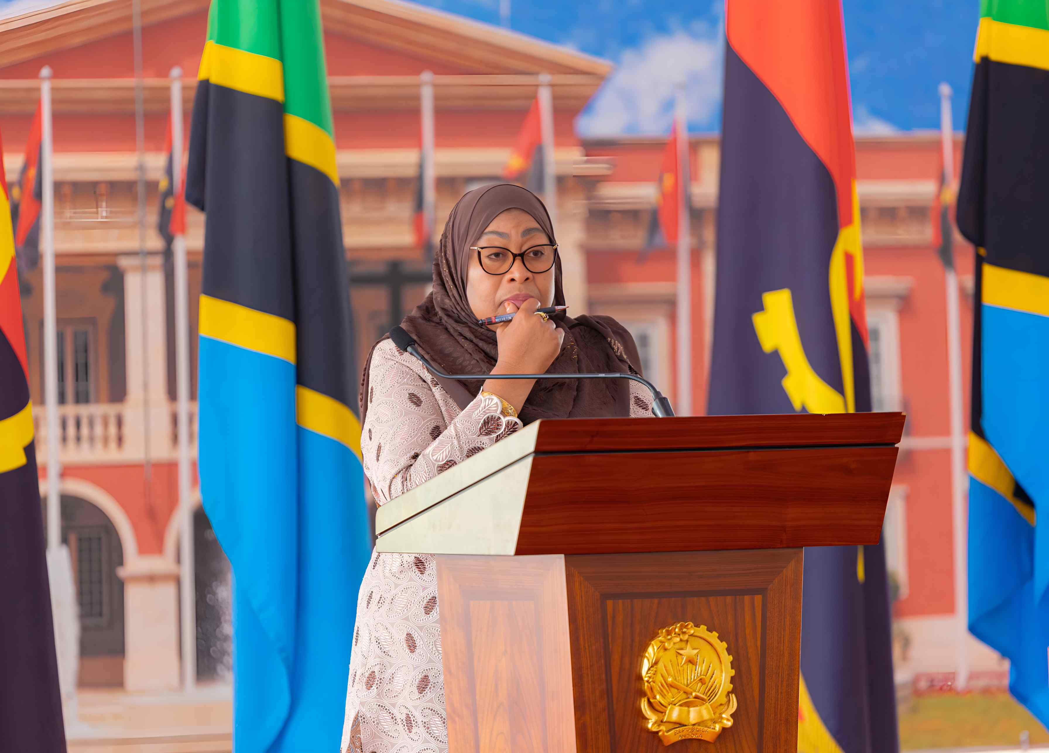 'You won’t destabilise my country'- President Suluhu tells Kenyan activists