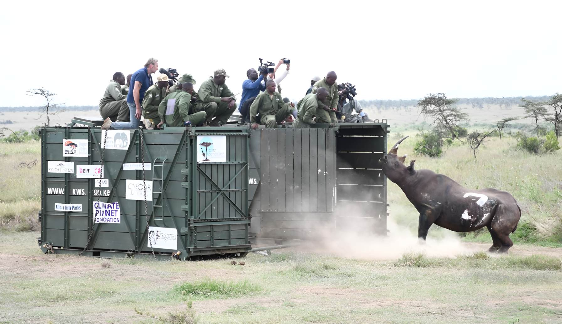 KWS relocates endangered Rhinos to new sanctuary