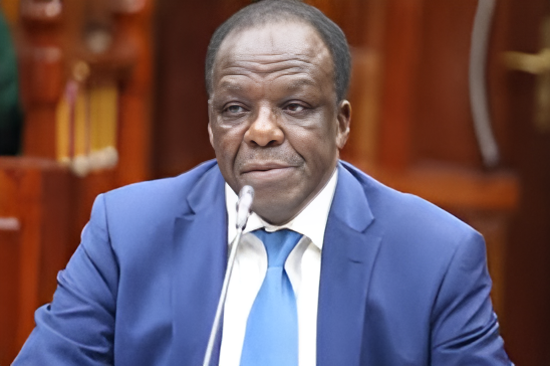 CS Oparanya stands in for Ruto at high-level summit in Germany