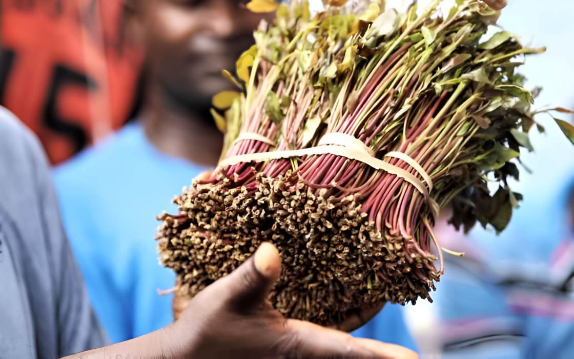 Meru residents decry reckless driving by Miraa transporters