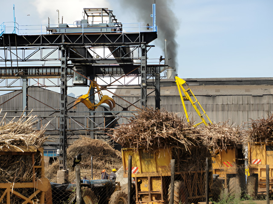 Sugar mill leasing sparks uproar in Senate