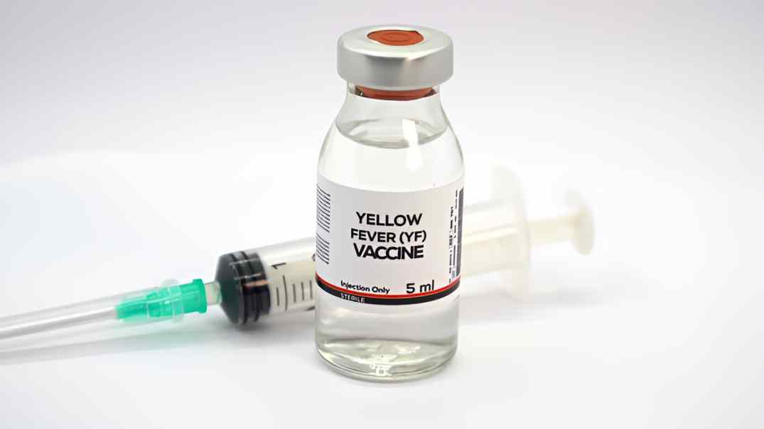 Yellow fever outbreak hits Uganda