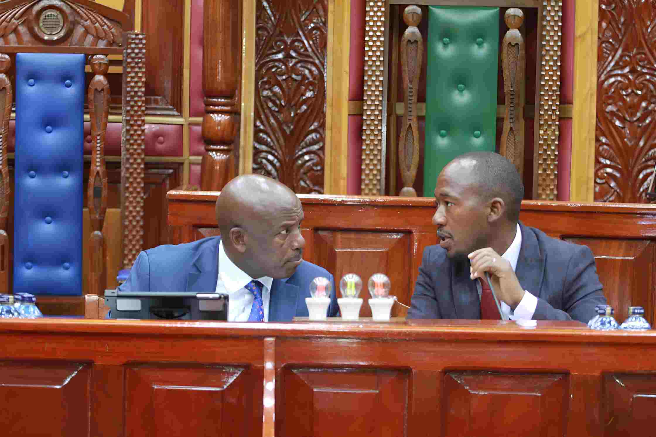 Environment Committee probes alleged dumping of nuclear waste in northern Kenya