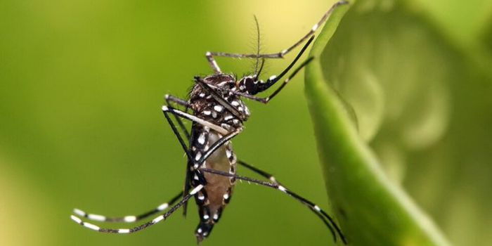 Siaya gets Sh51m worth of equipment to combat malaria