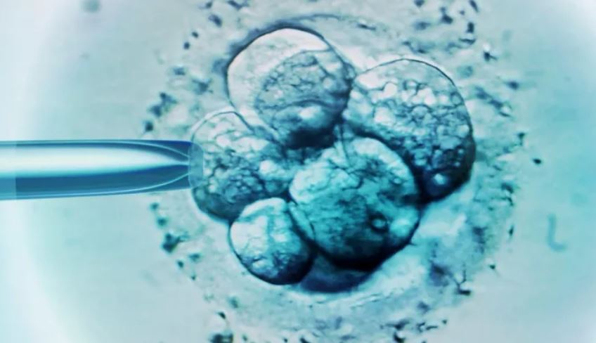 US family breaks record with birth from 1994 frozen embryo