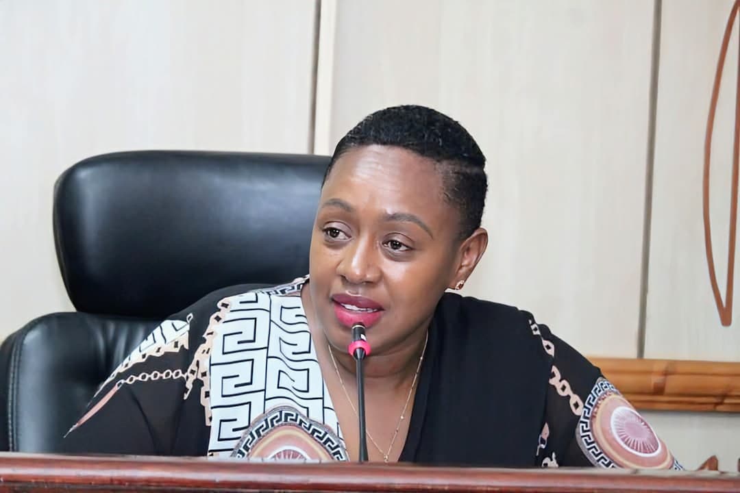 MPs push for mandatory use of public hospitals by civil servants