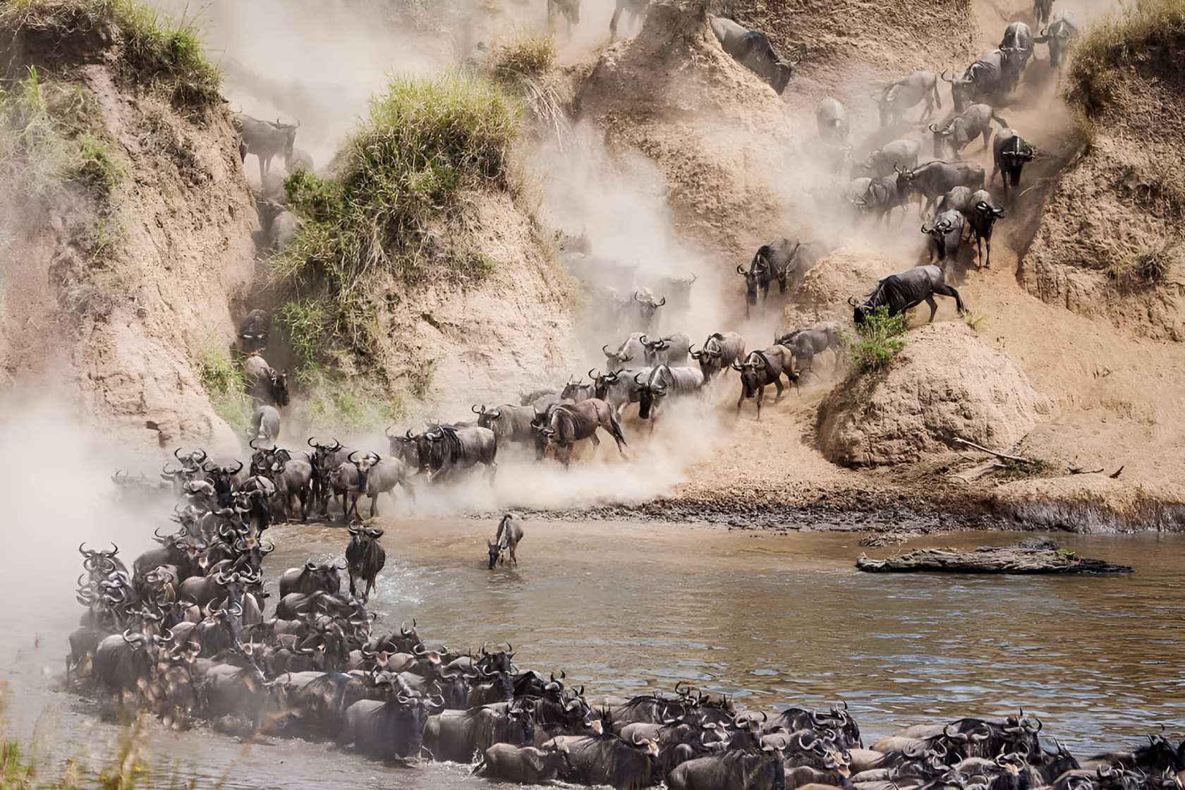 World Book of Records honours Maasai Mara for iconic animal migration