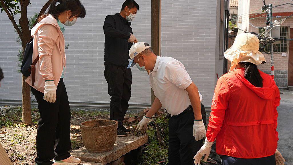 Chikungunya outbreak hits Southern China as cases surge past 7,000 in Guangdong