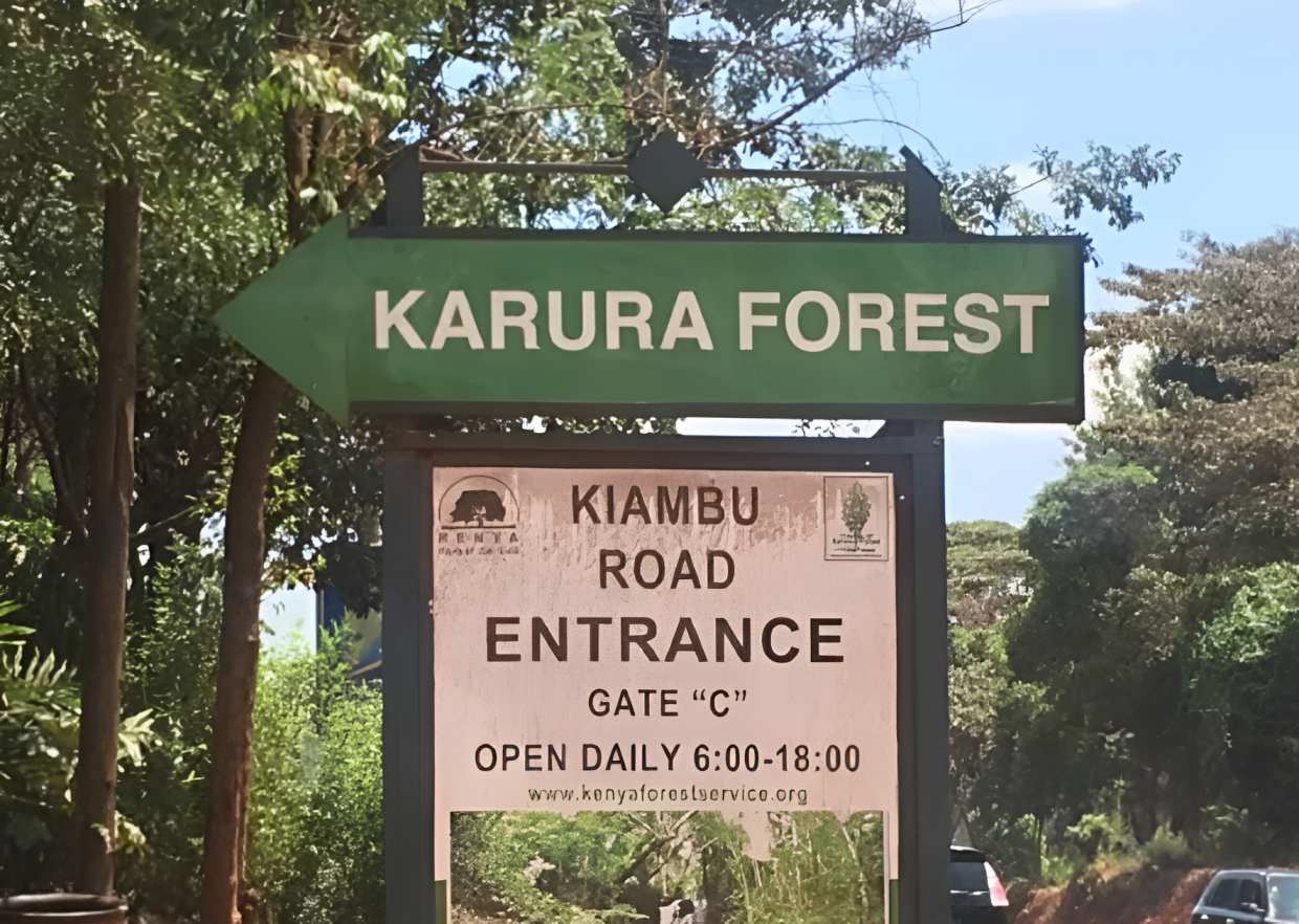 Karura Forest moves to e-Citizen for all payments
