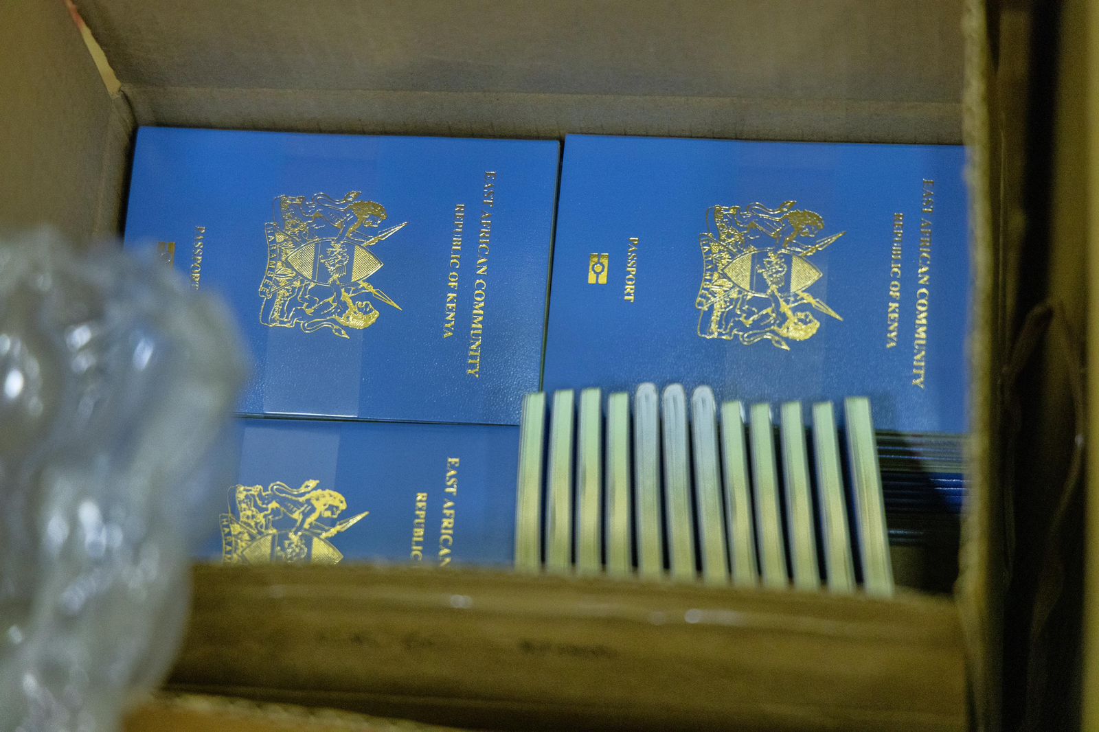 Government issues 514,000 passports amid ongoing delays, says report