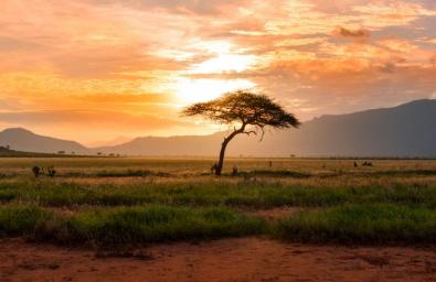 Kenya Met warns of strong winds as majority of regions remain dry