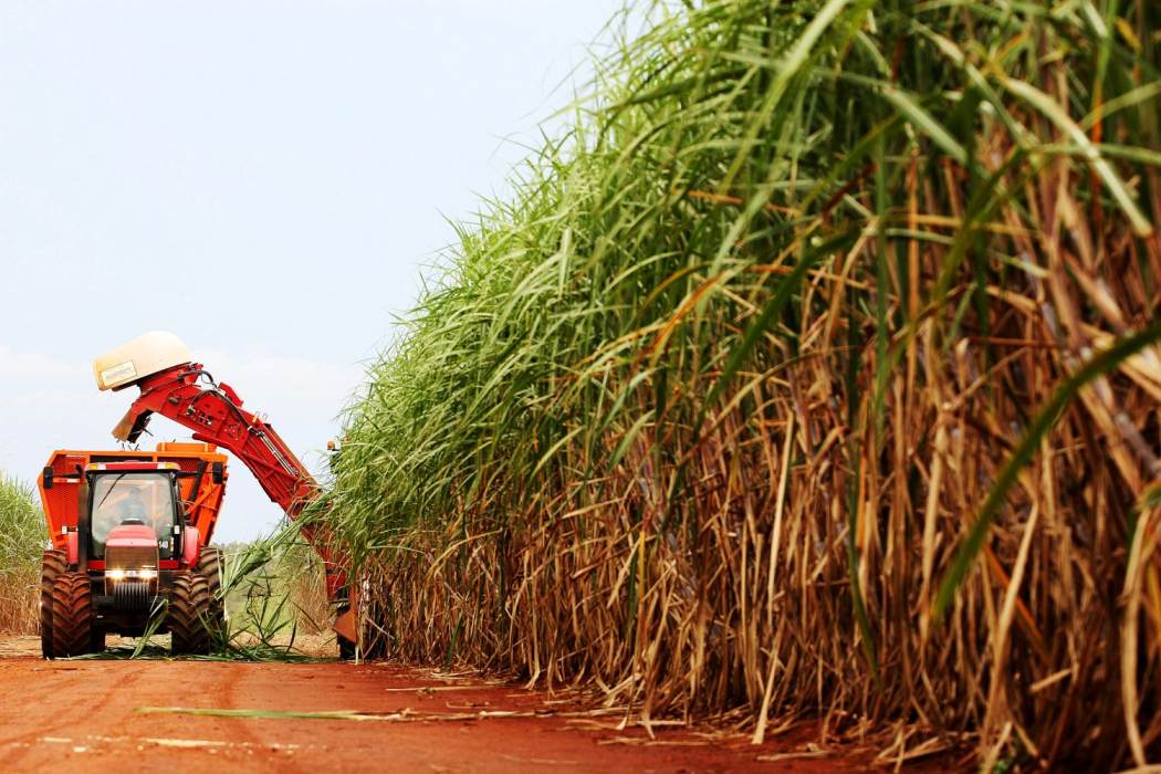 Kebs pushes Kwale Sugar to deposit Sh135m in Sh4.7bn case