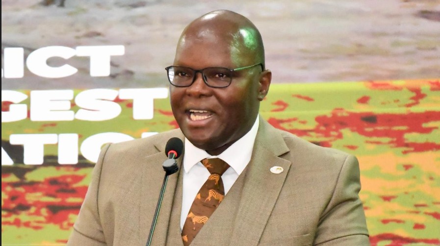 Kenya reports 255 deaths in rising human-wildlife conflict crisis