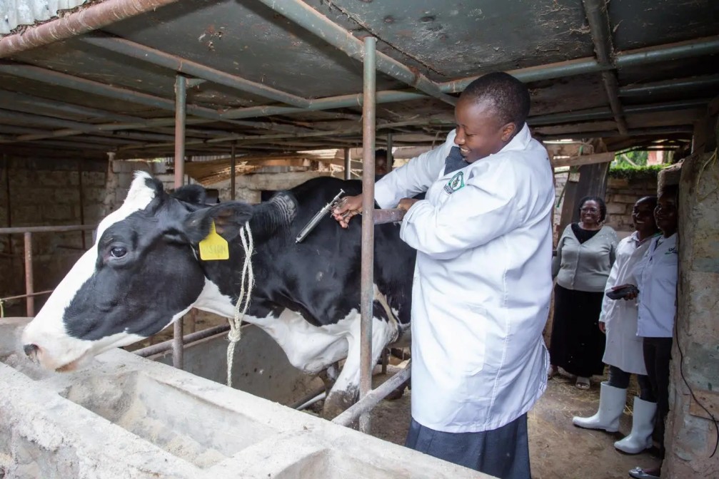 New e-voucher programme to modernise herd management